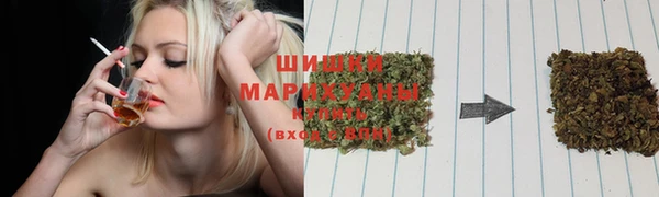 таблы Снежногорск
